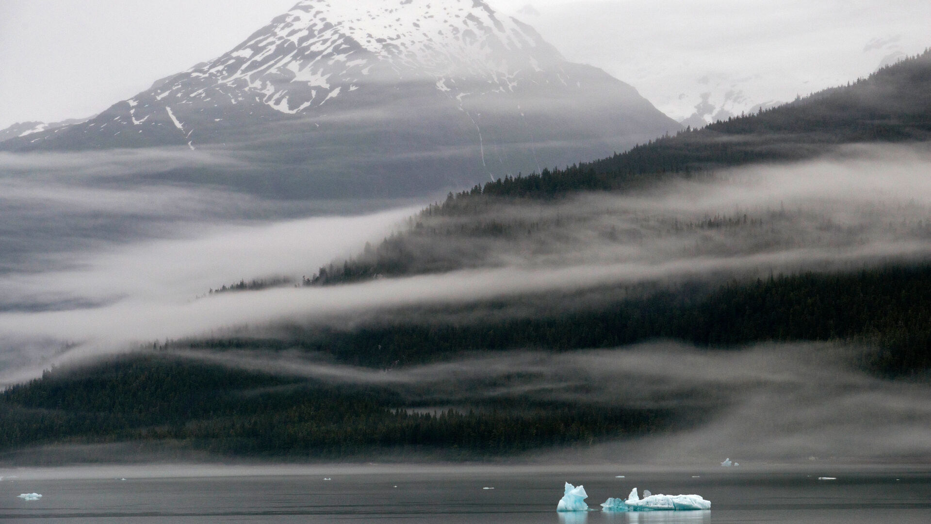 Tongass National Forest